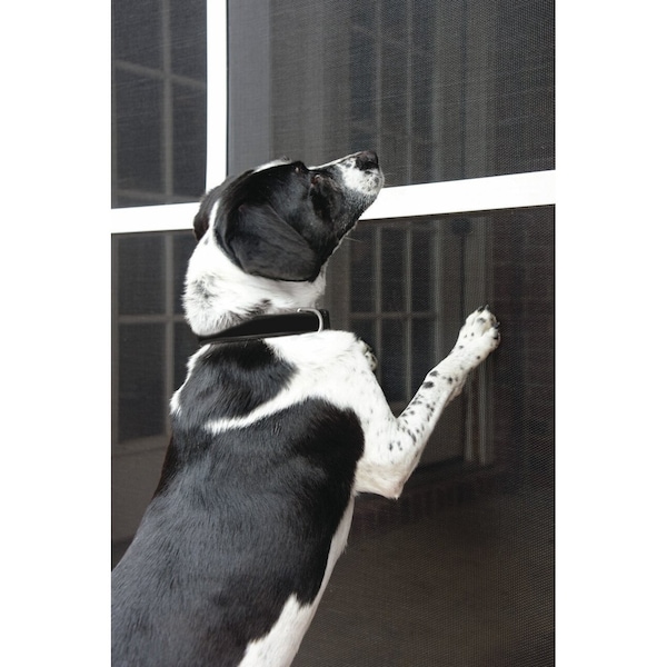 Phifer Vinylcoated Polyester Petresistant Insect Screening, 36 x 100', Black, 17x8 Mesh, One Roll - 3004127