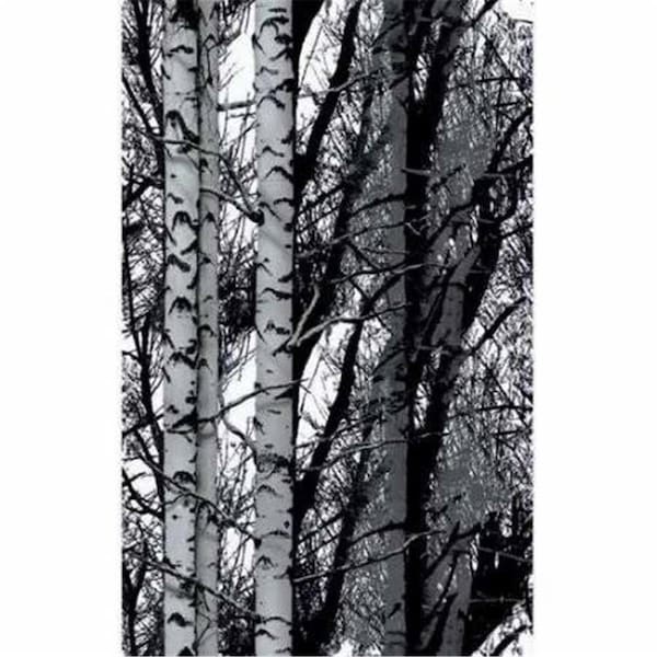 Lovelyhome 17 x 78 in. Decorative Self Adhesive Film; Birch Woods - LO416942