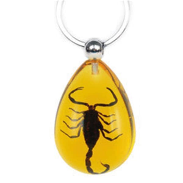 Ed Speldy East Key Chain Black Scorpion  Water Drop Shape  Amber - SK091