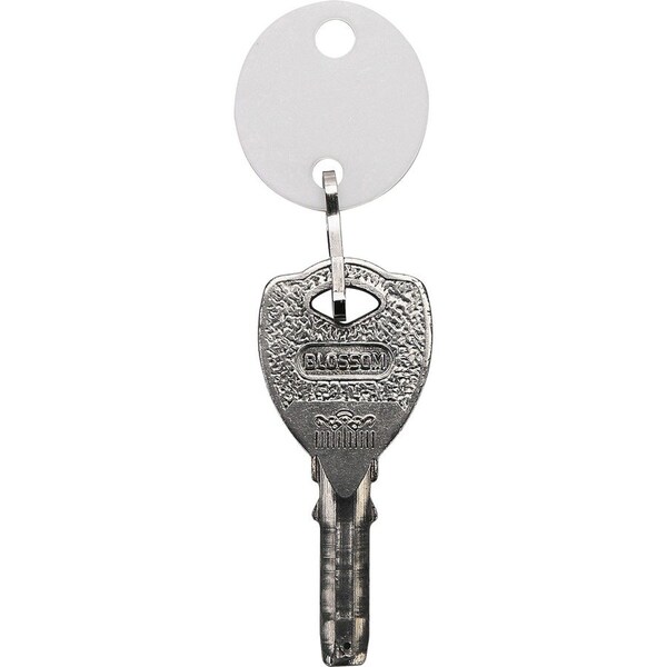 Sparco Key Tag, Oval, Plastic, 1-1/10"Wx3/4"Lx3-1/2"H, 20/PK, WE - SPR02886