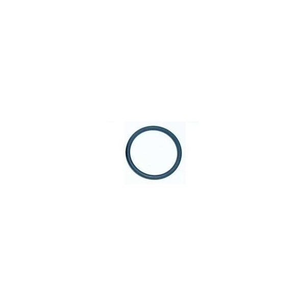 Professional Plastics Viton O-Ring 100 Pcs Per Pkg, 2-131 Black Viton O-RING-100 Pkg Pac - ORINGVITONBK2-131-100PCS