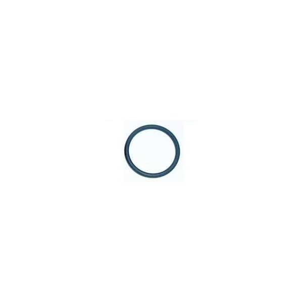 Professional Plastics Viton O-Ring 100 Pcs Per Pkg, 2-279 Black Viton O-RING-100PKG Pack - ORINGVITONBK2-279-100PCS