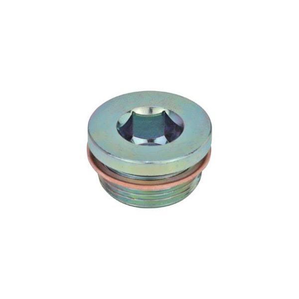 J.W. Winco DIN908-ST-M20X1.5-AC Threaded Plug Steel - 908-ST-M20X1.5-AC