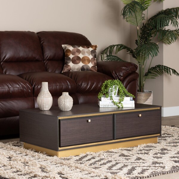 Baxton Studio Cormac Transitional Dark Brown Finished Wood and Gold Metal 2-Drawer Coffee Table - 208-12137