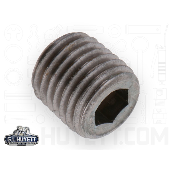 Huyett Plug, Pipe 1/8 HX SKT SS316 PL - PP-0125E02-S6PL