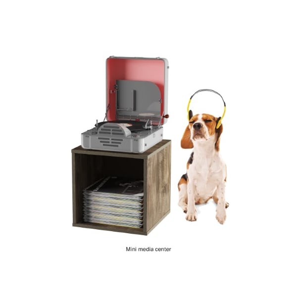 Hastings Home 15.75 W X 15.75 L X 15.75 H - 219725EFX