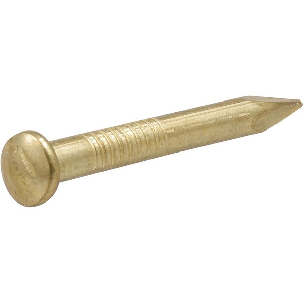 Ook Hillman OOK Brass-Plated Hardwall Picture Hanging Nails 15 lb 10 pk - 533706