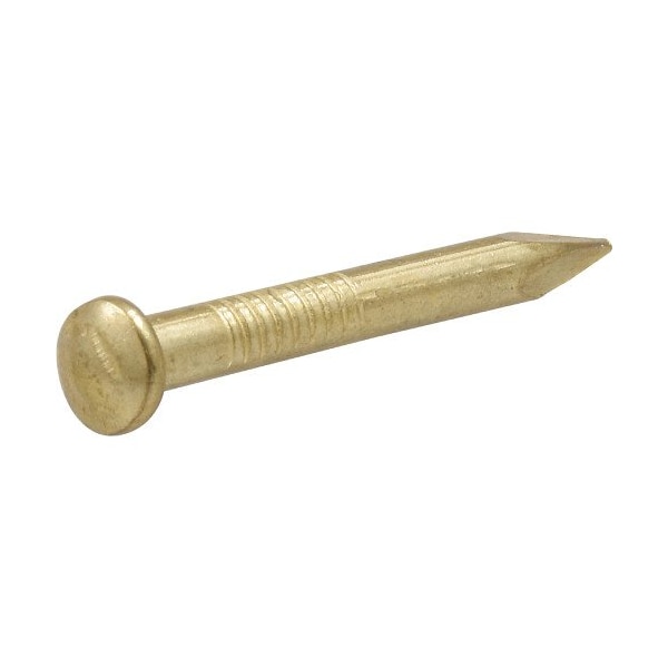 Hillman HILLMAN OOK Brass-Plated Brick Picture Hanging Nails 20 lb 10 pk - 533702