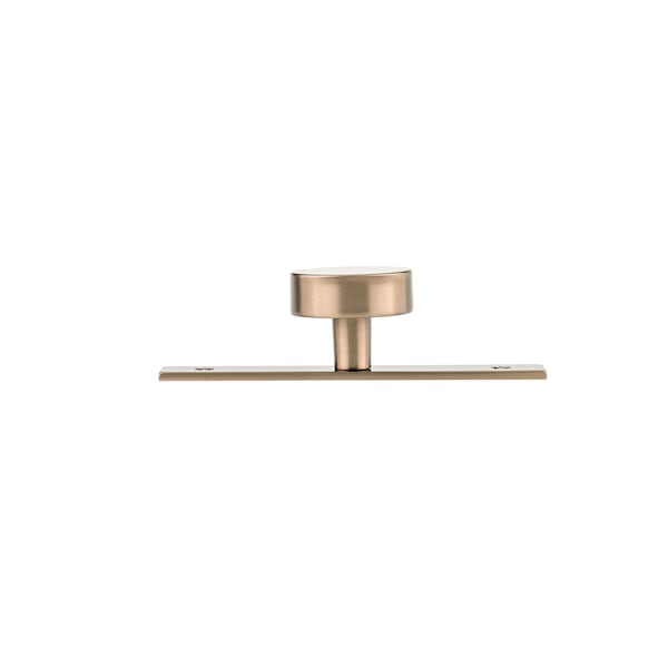 Richelieu 1 9/16 in (40 mm) Champagne Bronze Contemporary Cabinet Knob and Backplate - BP229540CHBRZ