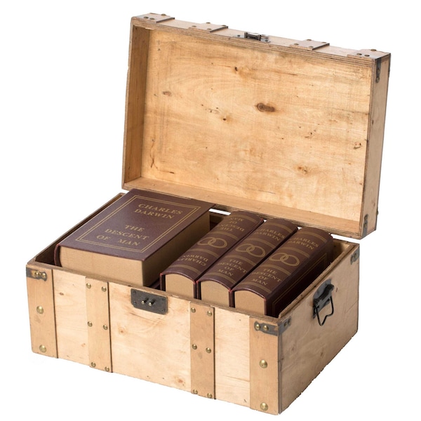 Vintiquewise Natural Wooden Style Trunk with Handles, Small - QI004014.S