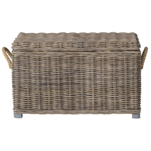 Safavieh Salim Trunk- Grey - 18.7 x 18.1 x 29.9 in. - SEA7019A