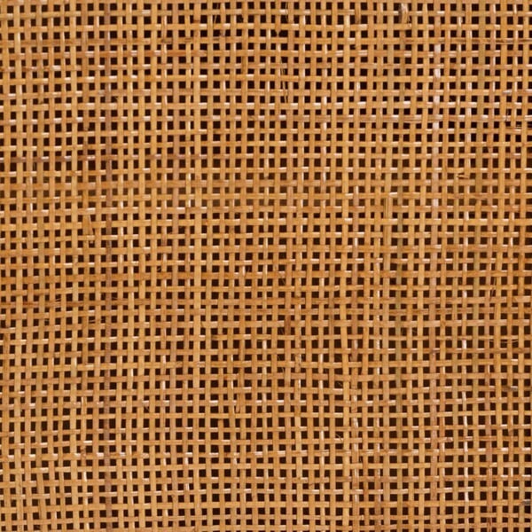 Bali & Pari Paloma Modern Bohemian Light Honey Rattan Large Storage Cabinet - 242-13571-ZORO