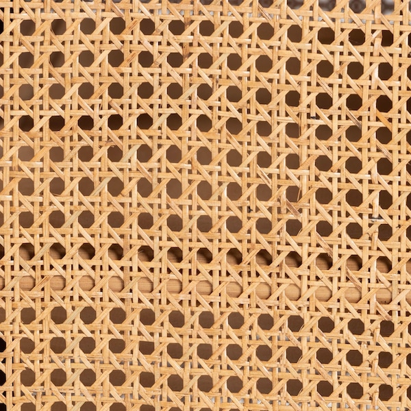 Bali & Pari Curacao Modern Bohemian Light Honey Rattan 2-Door Storage Cabinet - 243-13569-ZORO
