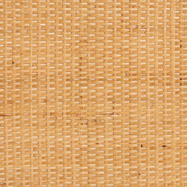 Bali & Pari Serissa Modern Bohemian Natural Brown Rattan 2-Door Storage Cabinet - 240-13255-ZORO