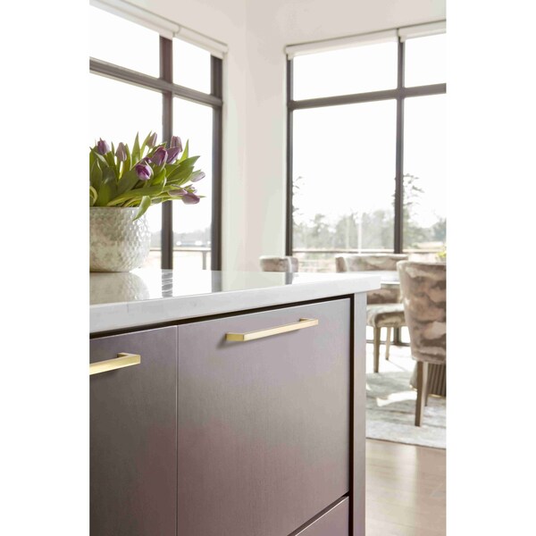 Amerock Monument 8-13/16 in 224 mm Center-to-Center Golden Champagne Cabinet Pull - BP36909BBZ