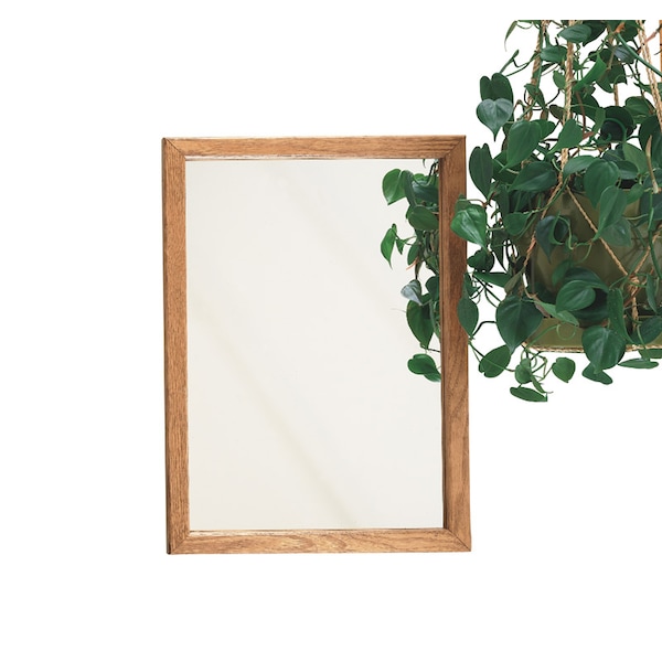 Zenith Metal Zenna Home 21-3/4 in. H X 16.13 in. W X 4.5 in. D Rectangle Oak Medicine Cabinet - K268