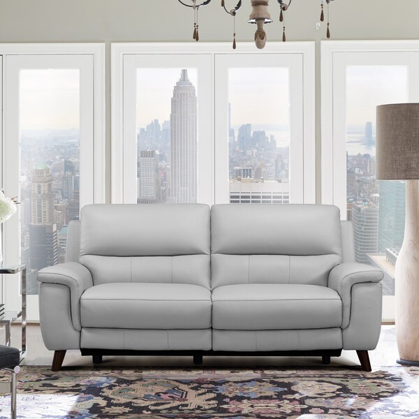 Armen Living Lizette Contemporary Sofa in Dark Brown Wood Finish and Dove Gray Genuine Leather - LCLZ3DV