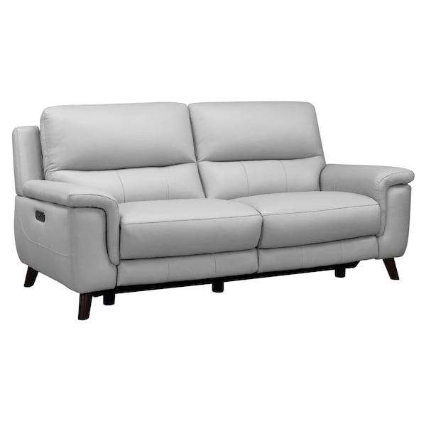 Armen Living Lizette Contemporary Sofa in Dark Brown Wood Finish and Dove Gray Genuine Leather - LCLZ3DV