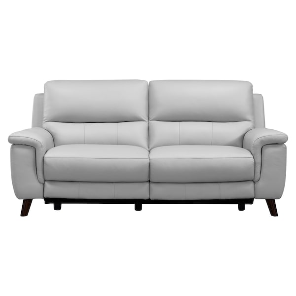 Armen Living Lizette Contemporary Sofa in Dark Brown Wood Finish and Dove Gray Genuine Leather - LCLZ3DV