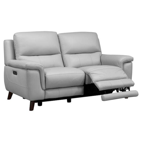 Armen Living Lizette Contemporary Loveseat in Dark Brown Wood Finish and Dove Gray Genuine Leather - LCLZ2DV