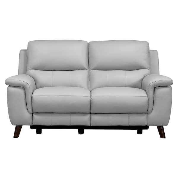Armen Living Lizette Contemporary Loveseat in Dark Brown Wood Finish and Dove Gray Genuine Leather - LCLZ2DV