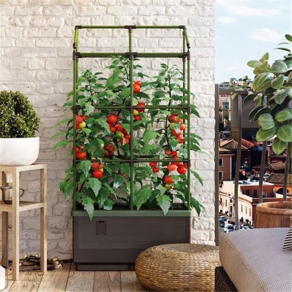 Bio Green Bio Green JGL-T City Jungle Tower - Green - JGL-T