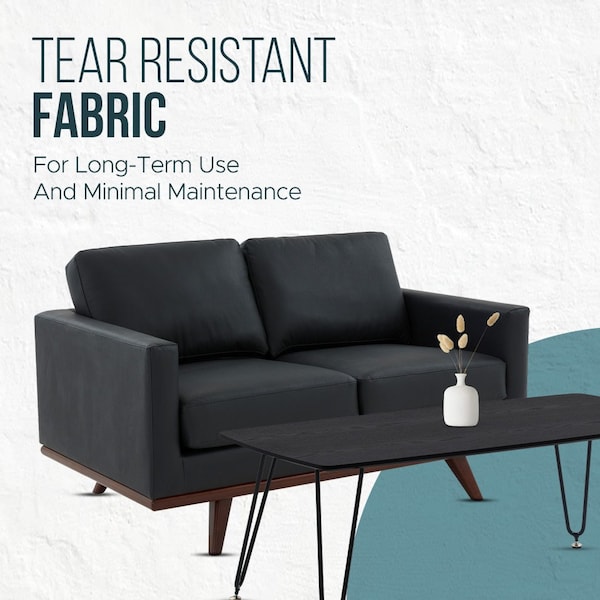 Leisuremod Chester Modern Leather Loveseat with Birch Wood Base, Black - CS58BL-L