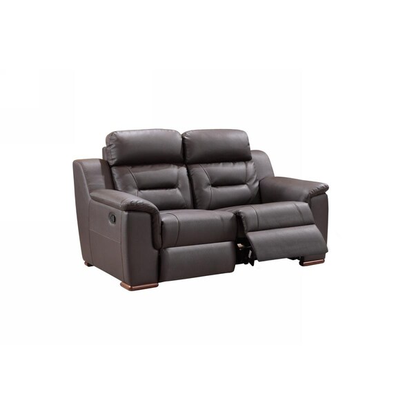 Gfancy Fixtures 67 x 41 x 41 in. Modern Brown Leather Loveseat - GF3086743