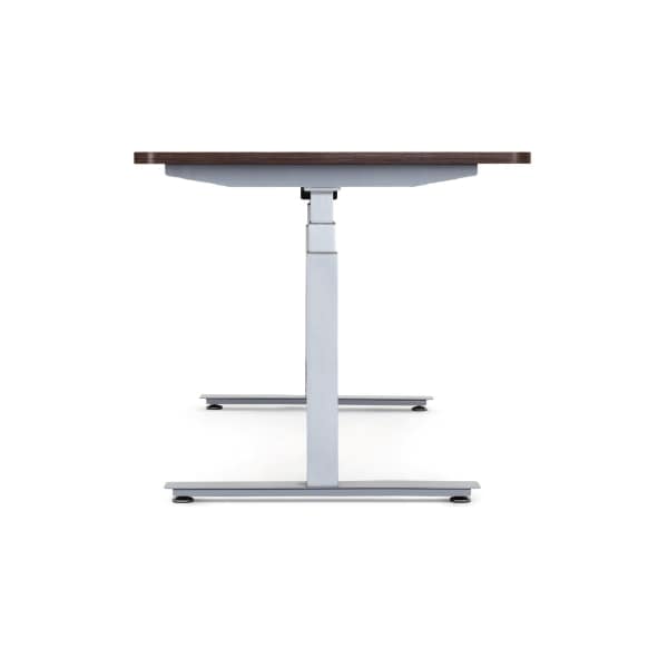 Uncaged Ergonomics Rise Up Dual Motor Electric Standing Desk Frame Legs 26.1-51.6" Gray - RUG