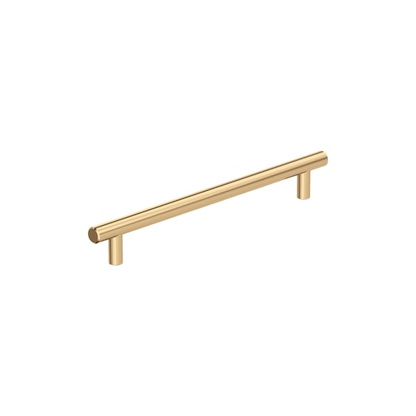 Amerock Bar Pulls 12 inch 305mm Center-to-Center Champagne Bronze Appliance Pull - BP54008CZ