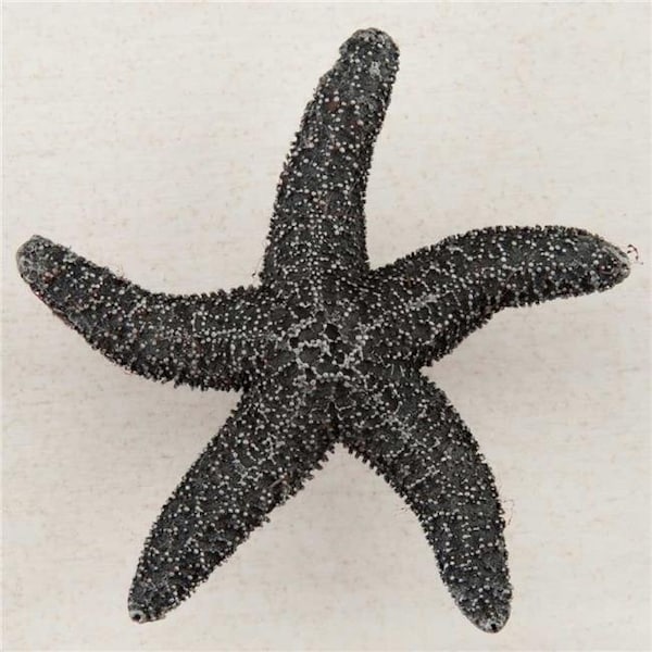 Acorn Mfg Acorn Manufacturing DPKPP Artisan Collection Natural Starfish Knob; Antique Pewter - DPKPP