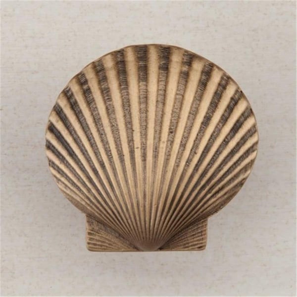 Acorn Mfg Artisan Collection Large Scallop Knob in Museum - DPGGP