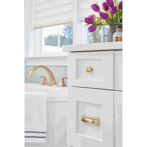 Amerock Appoint 1-1/4 in 32 mm Length Golden Champagne Cabinet Knob - BP36758BBZ