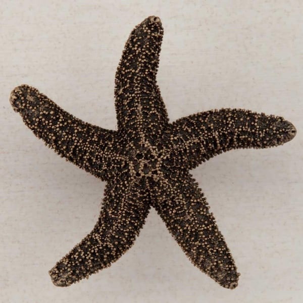 Acorn Mfg Artisan Collection Natural Starfish Knob, Museum Gold - DPKGP