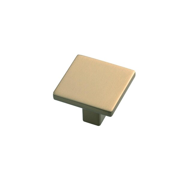 Belwith Products 1.25 x 1.25 in. Skylight Cabinet Knob, Stainless Steel - BWHH075341 SS