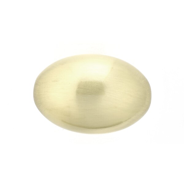 Richelieu 1 3/16 in (30 mm) x 25/32 in (20 mm) Satin Brass Traditional Cabinet Knob - BP4443160