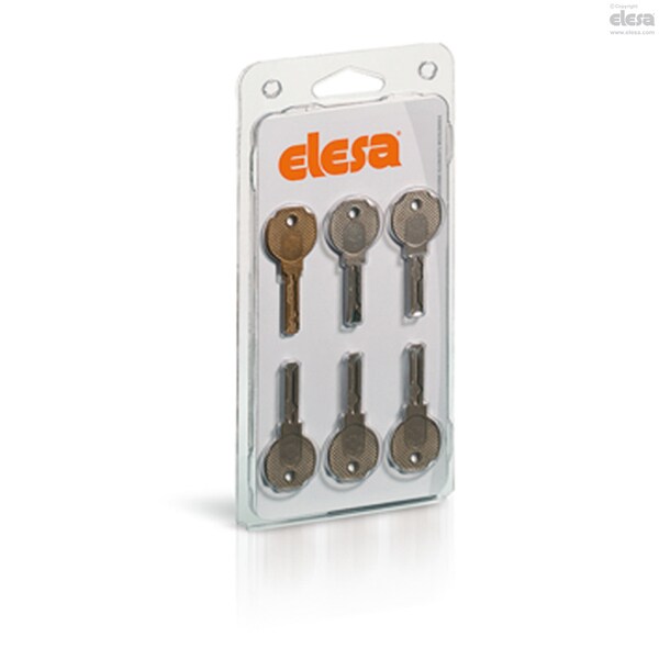 Elesa Lever latches with key, CS-RPR.36-25 - CS-RPR.