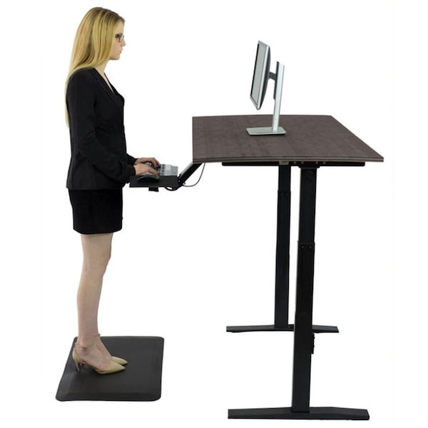 Homeroots Premier 52 in. Black Dual Motor Electric Office Adjustable Standing Desk - 397730