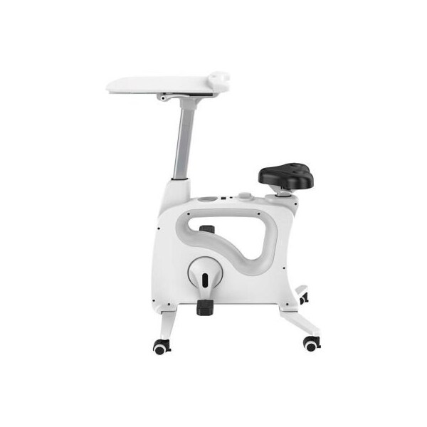 Zoxou Inc FlexiSpot V9 All-in-One Standing Desk Bike - Deskcise Pro, White - DB9W