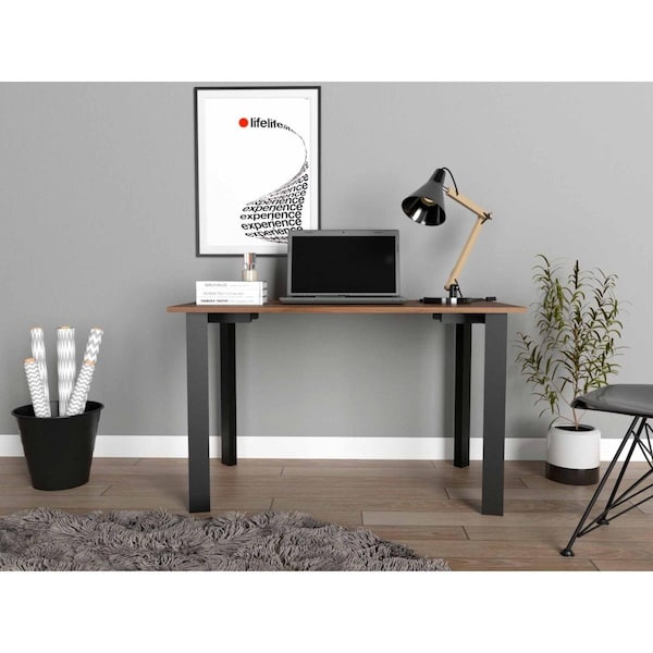 Homeroots Minimalist Black Computer Table Desk, Mahogany - 403808