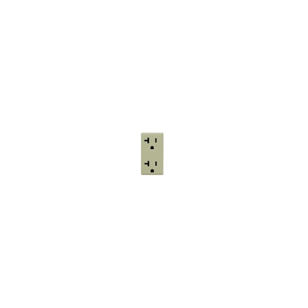 Leviton ELECTRICAL RECEPTACLES RENU CC KIT 20A TR RCPT PRAIRIE SAGE - RKR20-PS