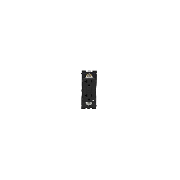 Leviton Circuit Interruptor, 20A, 125V AC, 2, 3 Poles - RGF20-OB