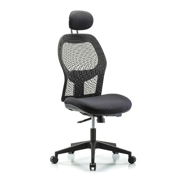 Blue Ridge Ergonomics Executive Mesh Chair, Headrest, Casters - BR-EXE-MDHCH-RG-H1-A0-RC