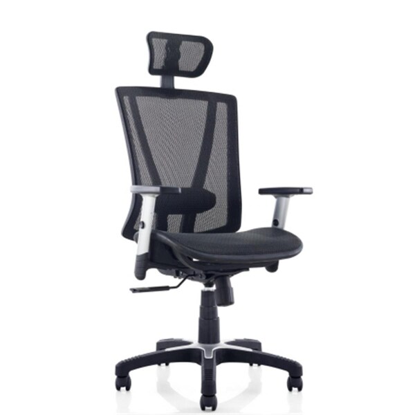 Templeton Fully Meshed Ergo Office Chair with Headrest - Black - TE2547163