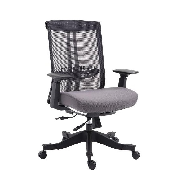 We'Re It Mesh it, Twyst Series Flex Mesh Task Chair with Grey Seat, Adjustable Arms, Seat Slide, and Black Frame - EM5225AM-GRY