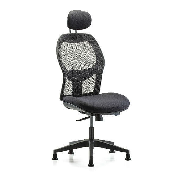 Blue Ridge Ergonomics Executive Mesh Chair, Headrest, Glides - BR-EXE-MDHCH-RG-H1-A0-RG