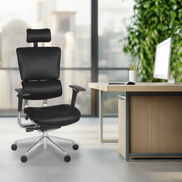 Regency Omega Ergonomic Leather Executive Office Chair with Headrest/Adjustable Lumbar Support, Black - OMG004BK