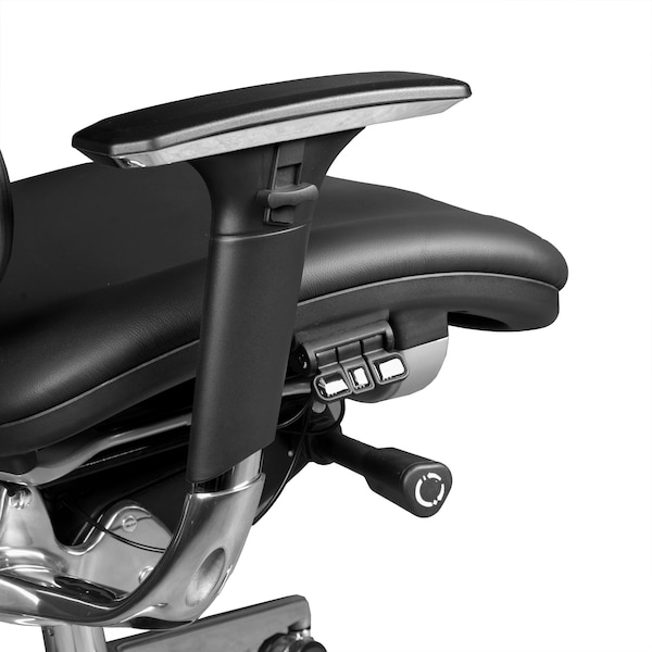 Regency Omega Ergonomic Leather Executive Office Chair with Headrest/Adjustable Lumbar Support, Black - OMG004BK