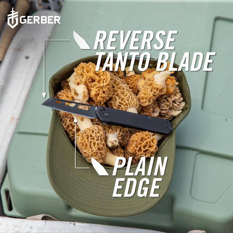 Gerber 2.9 in. Spire Assisted Finger Flipper Knife - 30-001917
