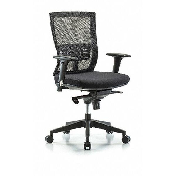 Blue Ridge Ergonomics Desk Chair Modern Mesh Chair, C2, AA, Casters, Adjustable Arms, 18-1/2" to 21-1/2" Height, Mesh, Black - BR-MOD-MDHCH-RG-C2-A1-RC